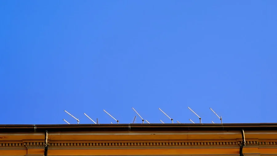 Bird deterrent spikes installed on commercial building
