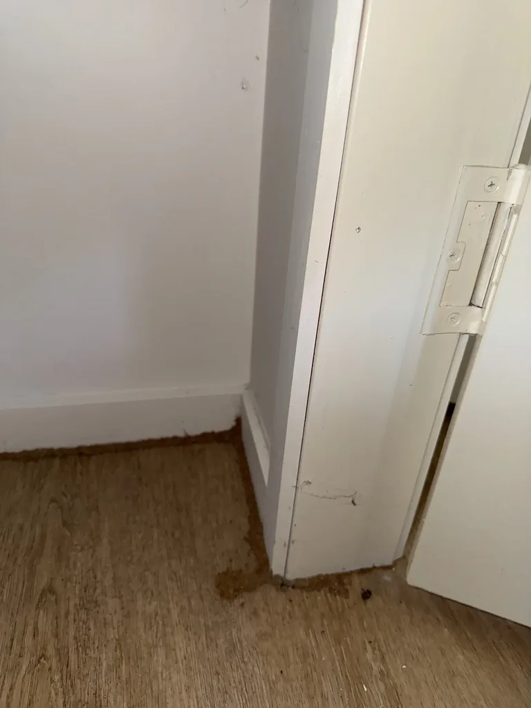 Termite mud staining at door frame — interior breach point