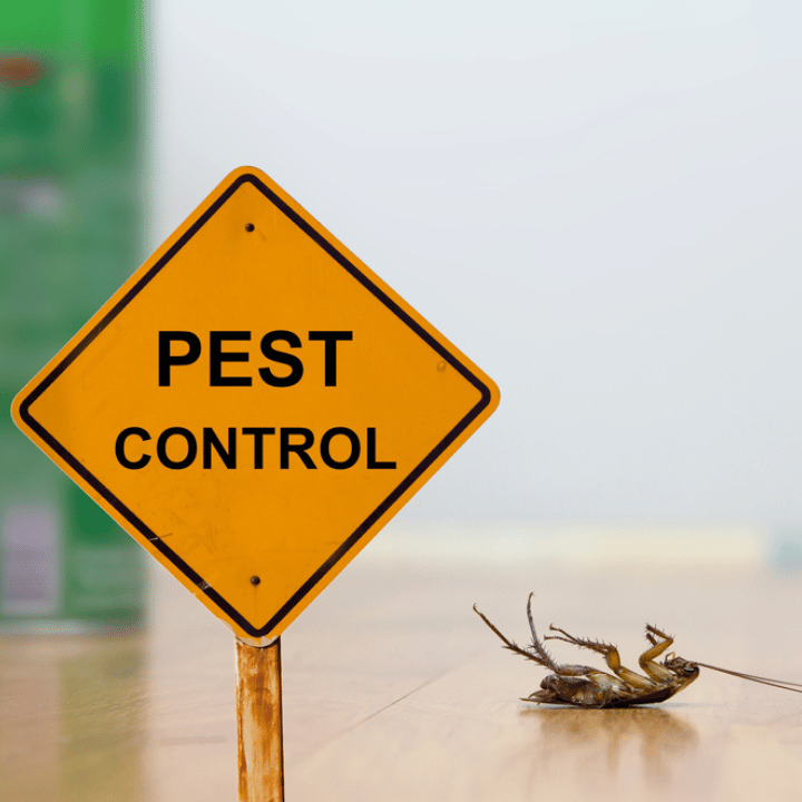 General pest control